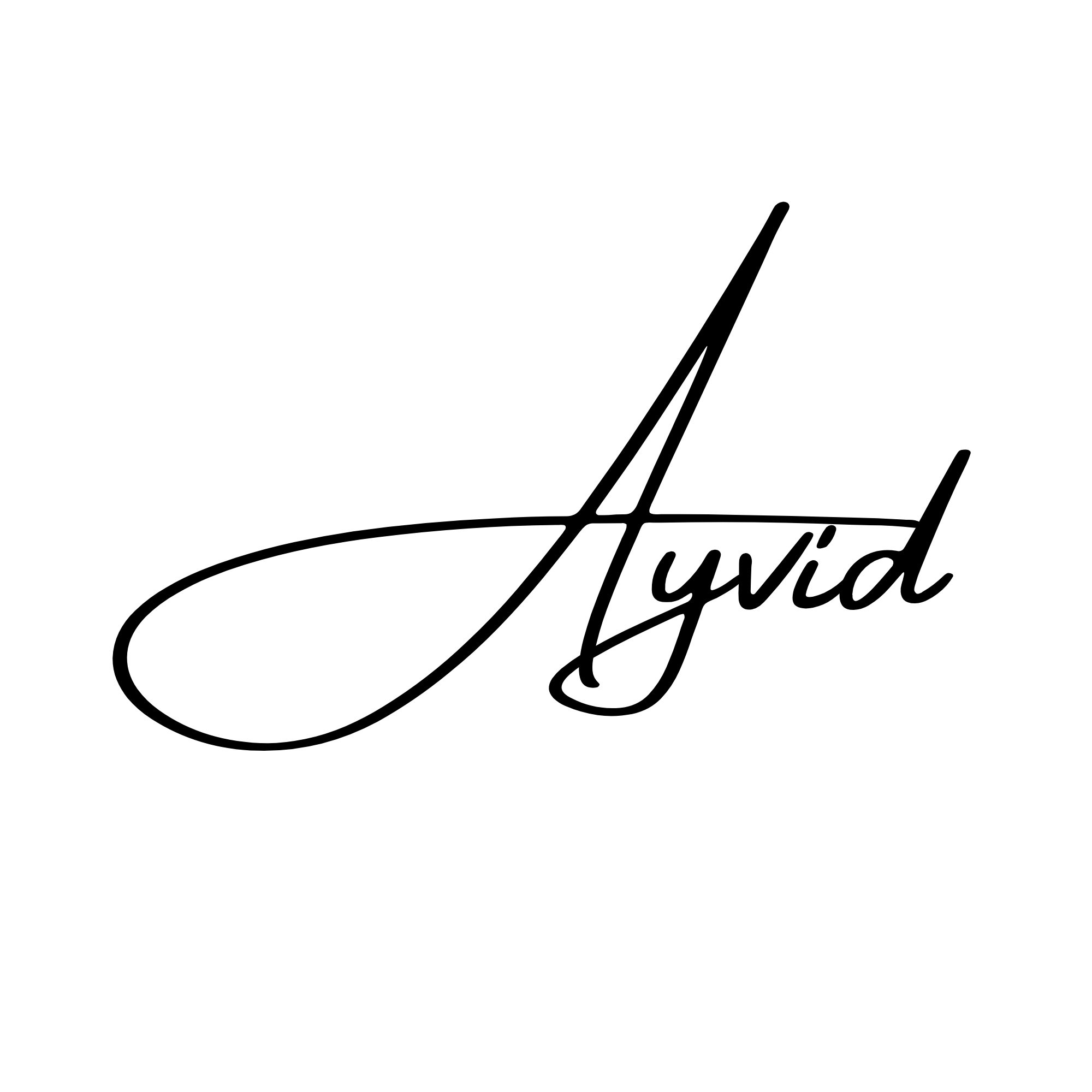Ayvid